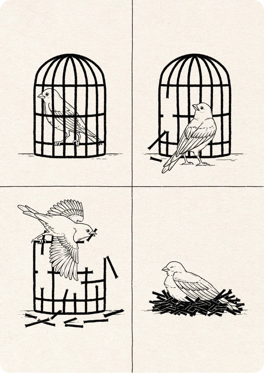 The bird and the cage by Alba Cantalapiedra